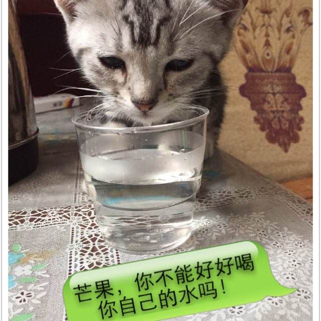 物理技术学院Scienceandengineeringdegreecertificate